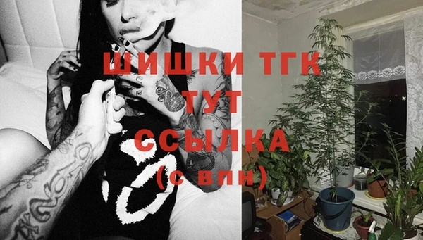 прущий лед Арсеньев