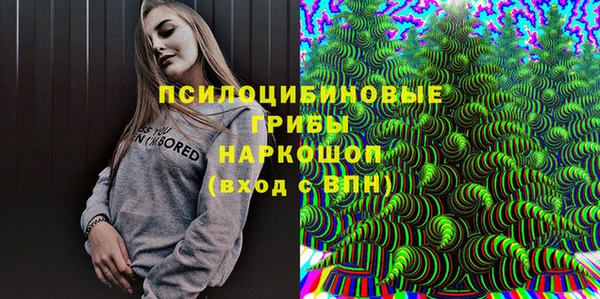 прущий лед Арсеньев